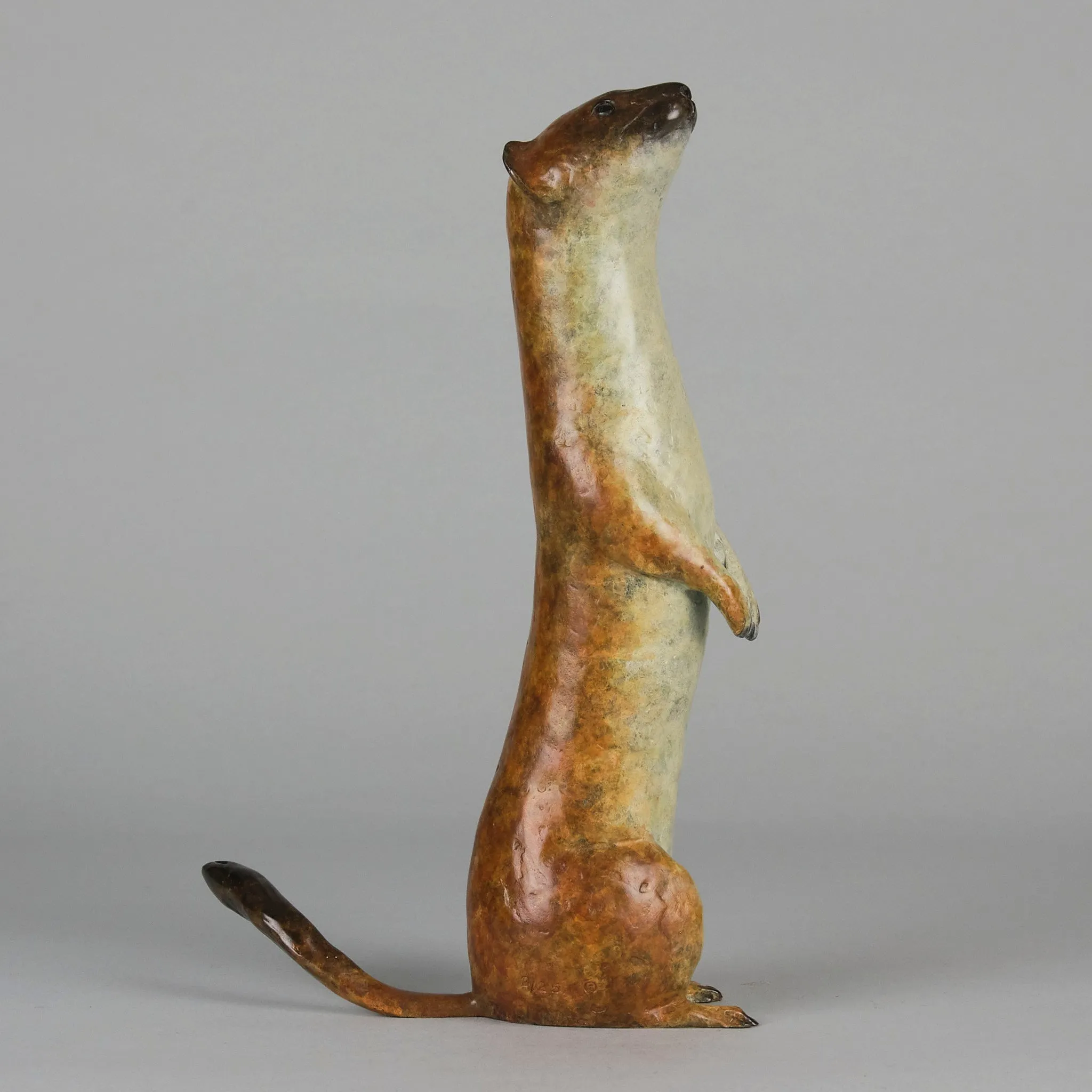 "Stoat" by Richard Smith