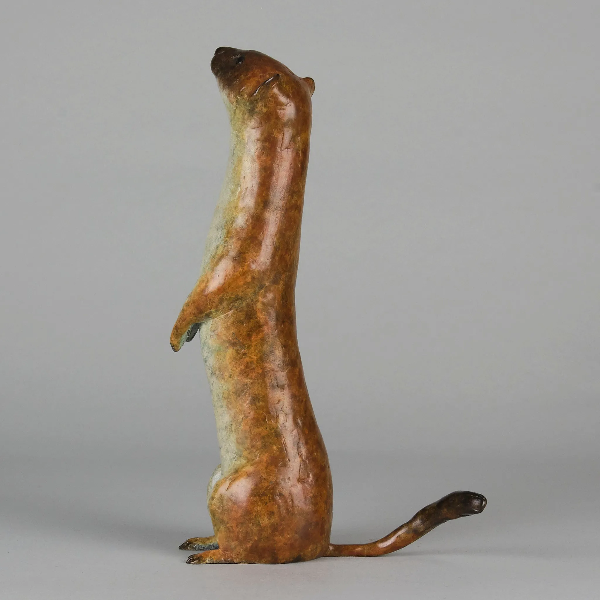 "Stoat" by Richard Smith