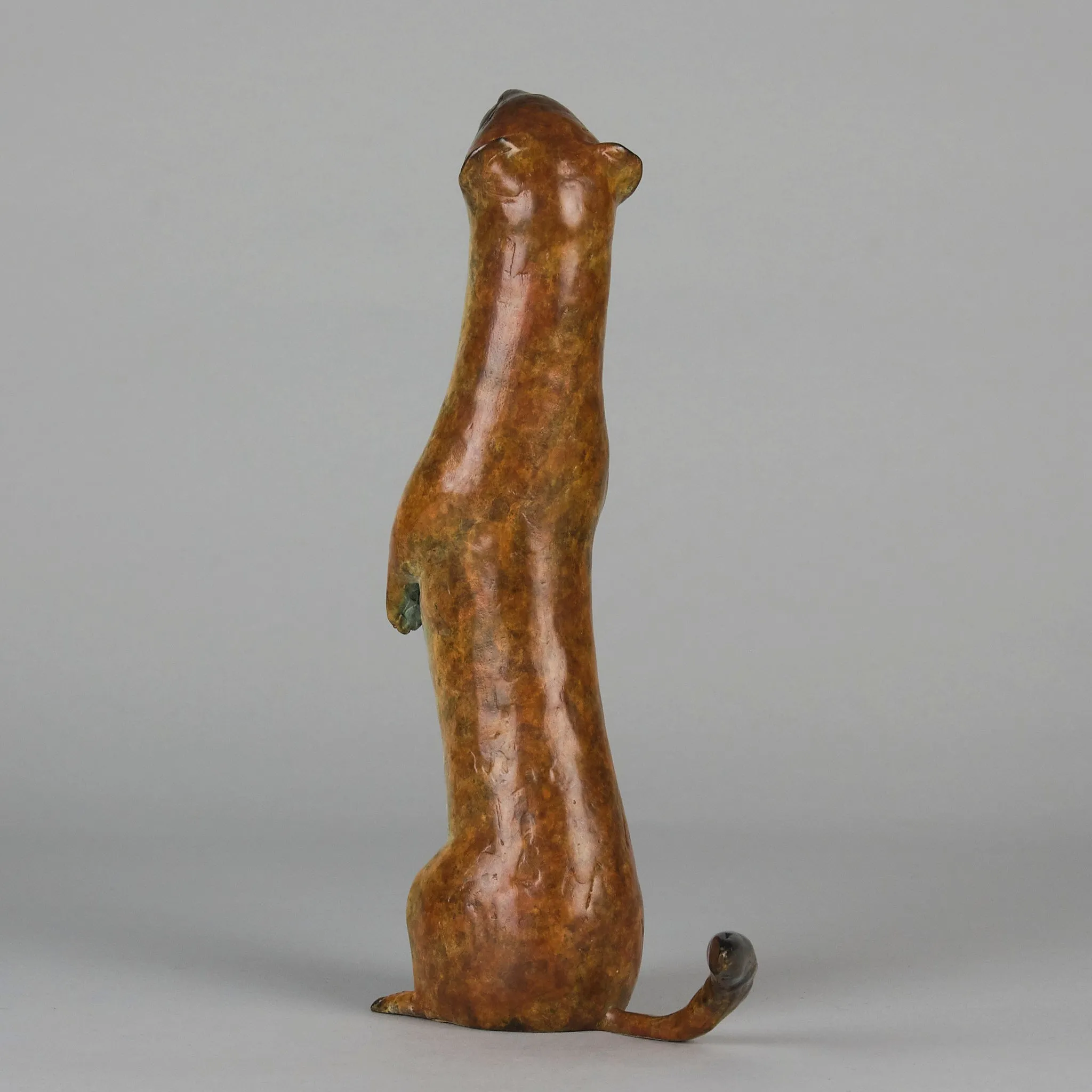"Stoat" by Richard Smith