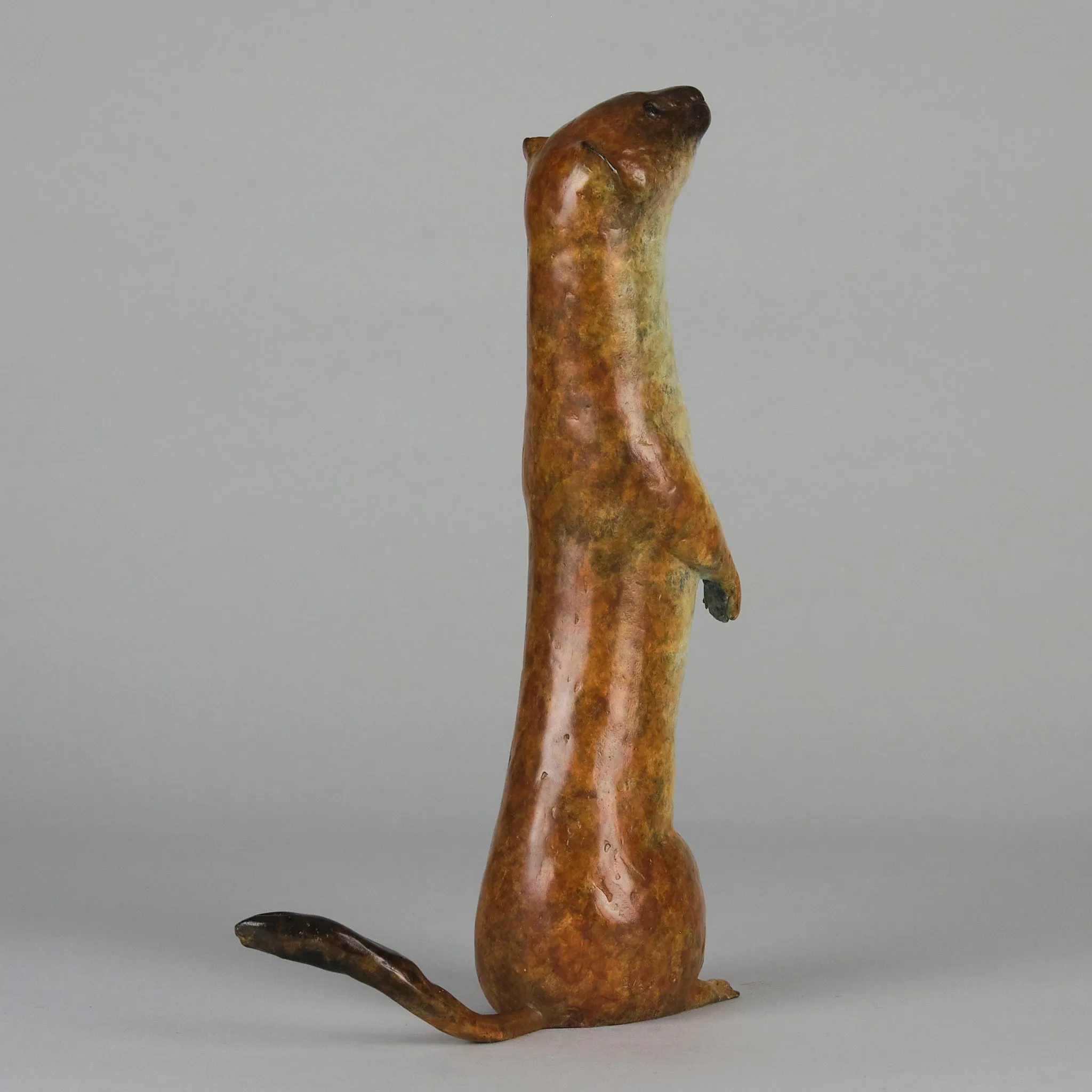"Stoat" by Richard Smith