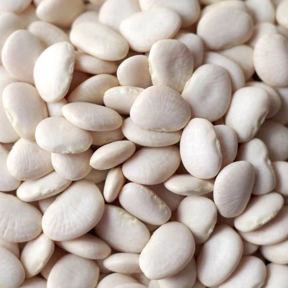 Rainy Day Foods Baby Lima Beans 25 lbs Bag - 113 Servings