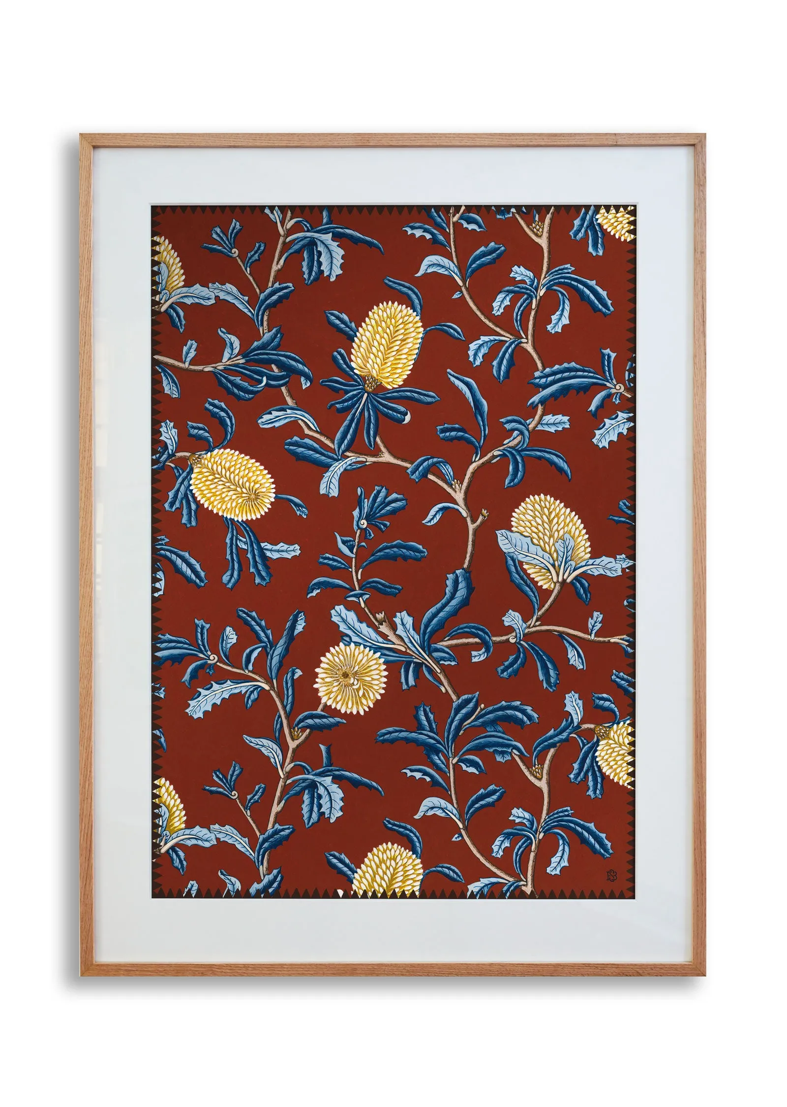 Silver Banksia Fine Art Print