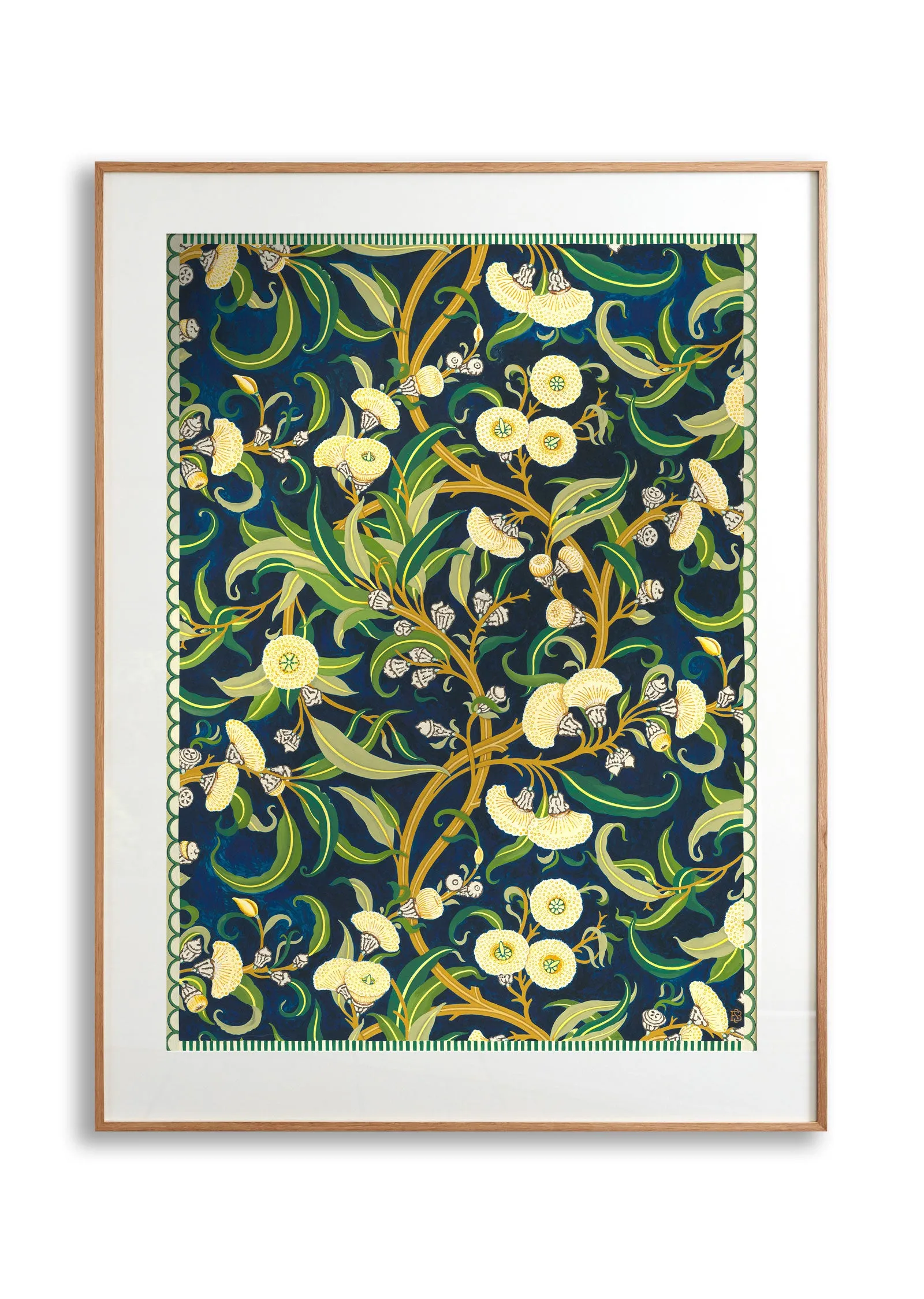 Southern Blue Gum Fine Art Print