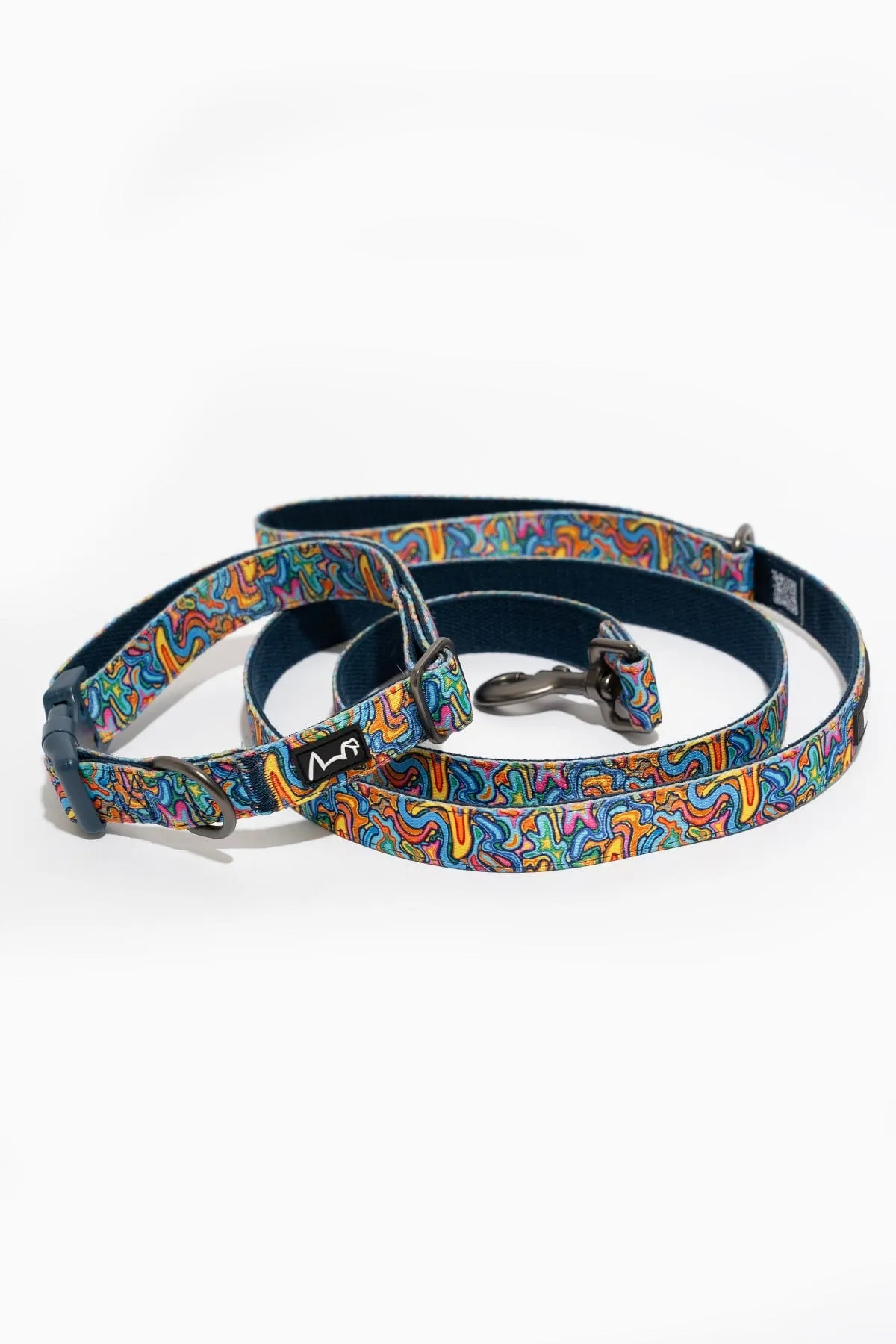 Splatisfaction Dog Collar & Leash Set