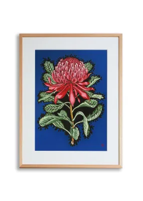 Waratah Deity Fine Art Print